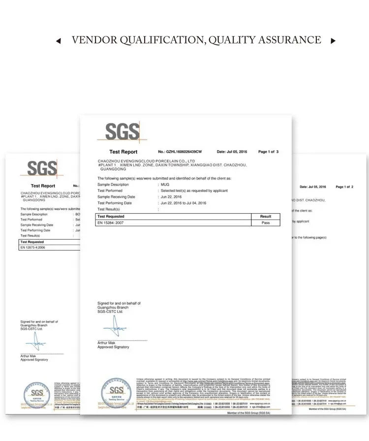 Pure White Porcelain Plate