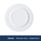 Pure White Porcelain Plate