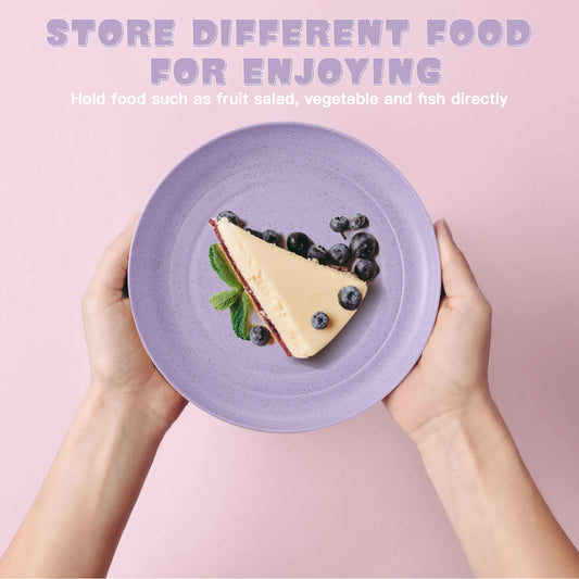 Unbreakable Lightweight Plate Set