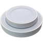 Silver Rim Plastic Plates